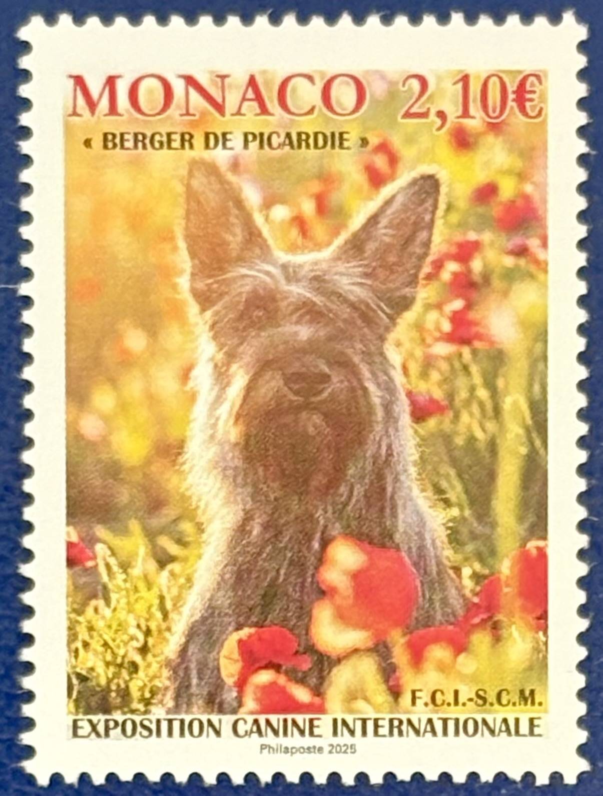 Internationale Hundeausstellung in Monaco