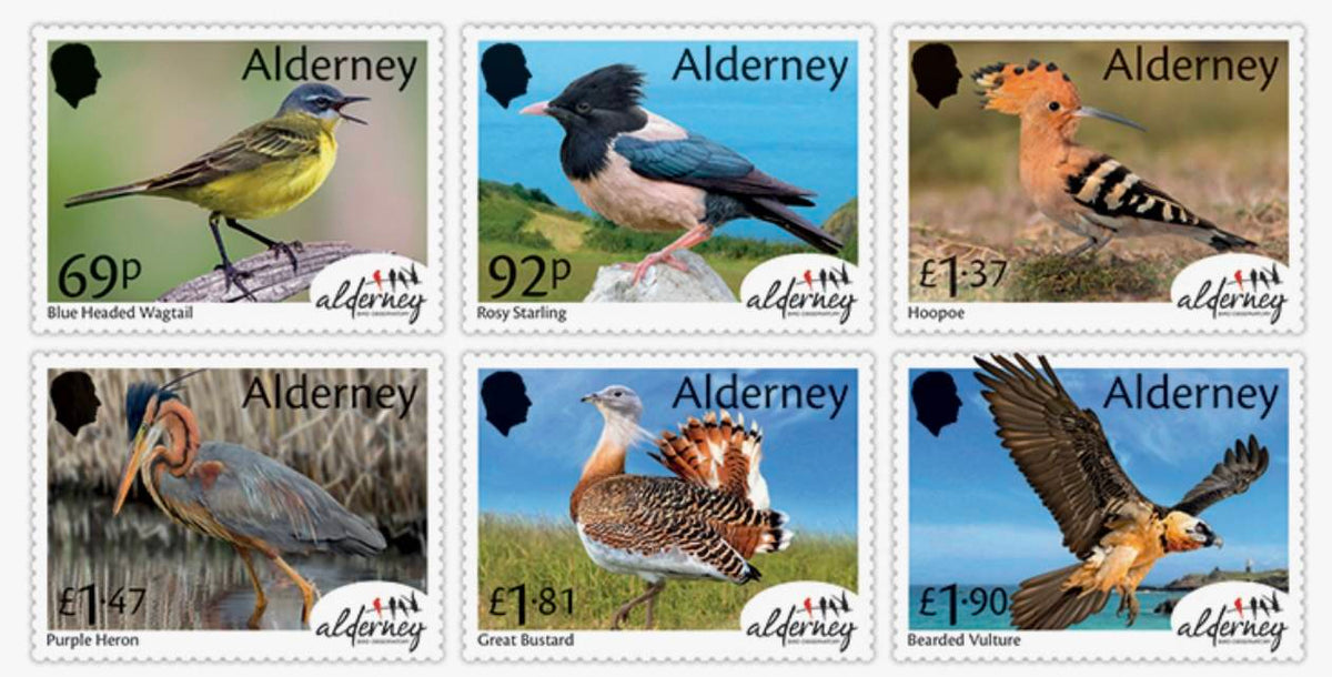 Die Vogelwelt auf Alderney
