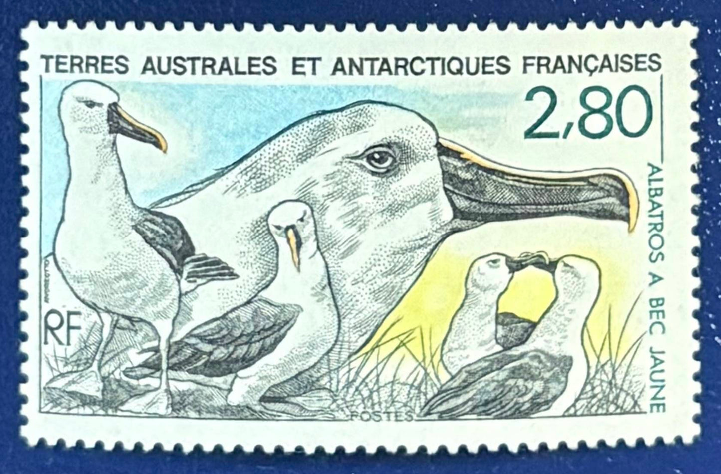 Französische Gebiete in der Antarktis - Einzelwert Tiere der Antarktis