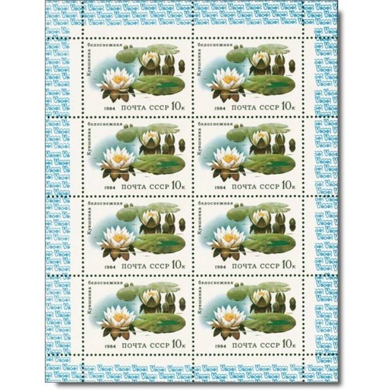 Sowjetunion -Wasserrose - Briefmarken-Kleinbogen-Block, Katalog-Nr. 5384 postfrisch