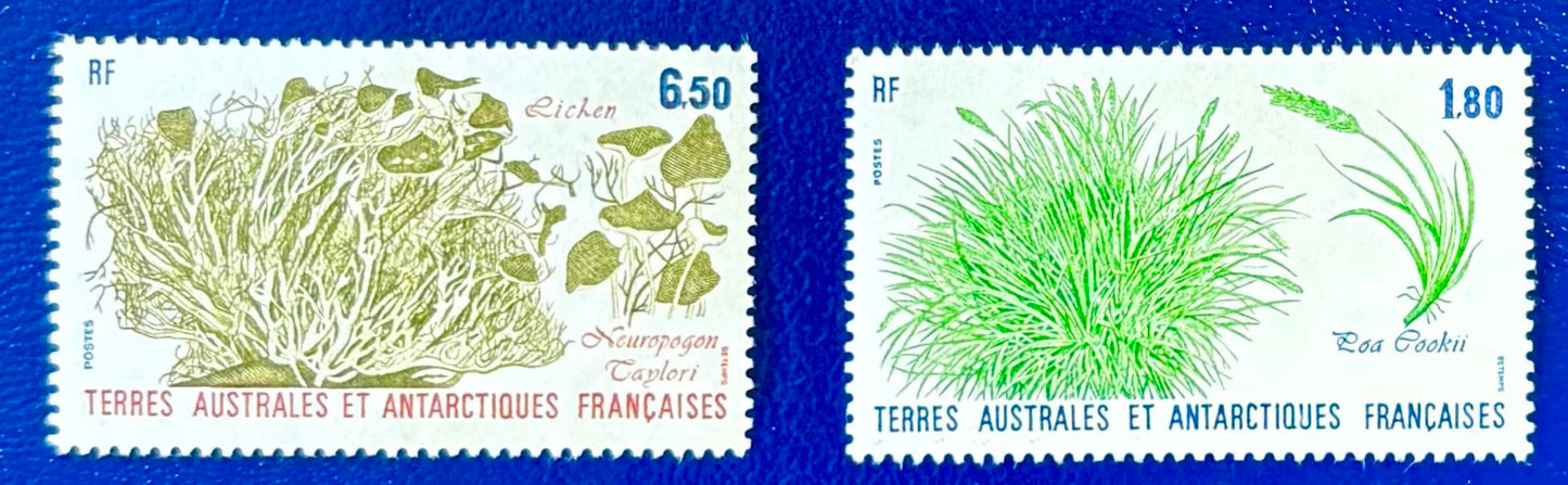 Französische Gebiete in der Antarktis - 2 Werte postfrisch "Pflanzen der Antarktis" im Stichtiefdruck