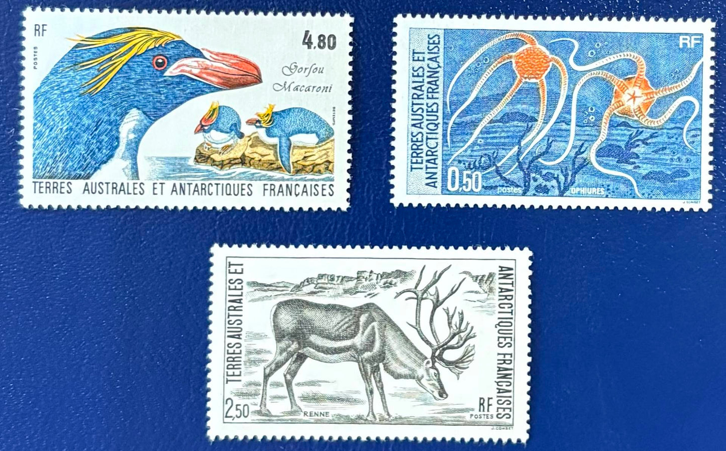 Französische Gebiete in der Antarktis - 3 Werte postfrisch "Tiere der Antarktis"