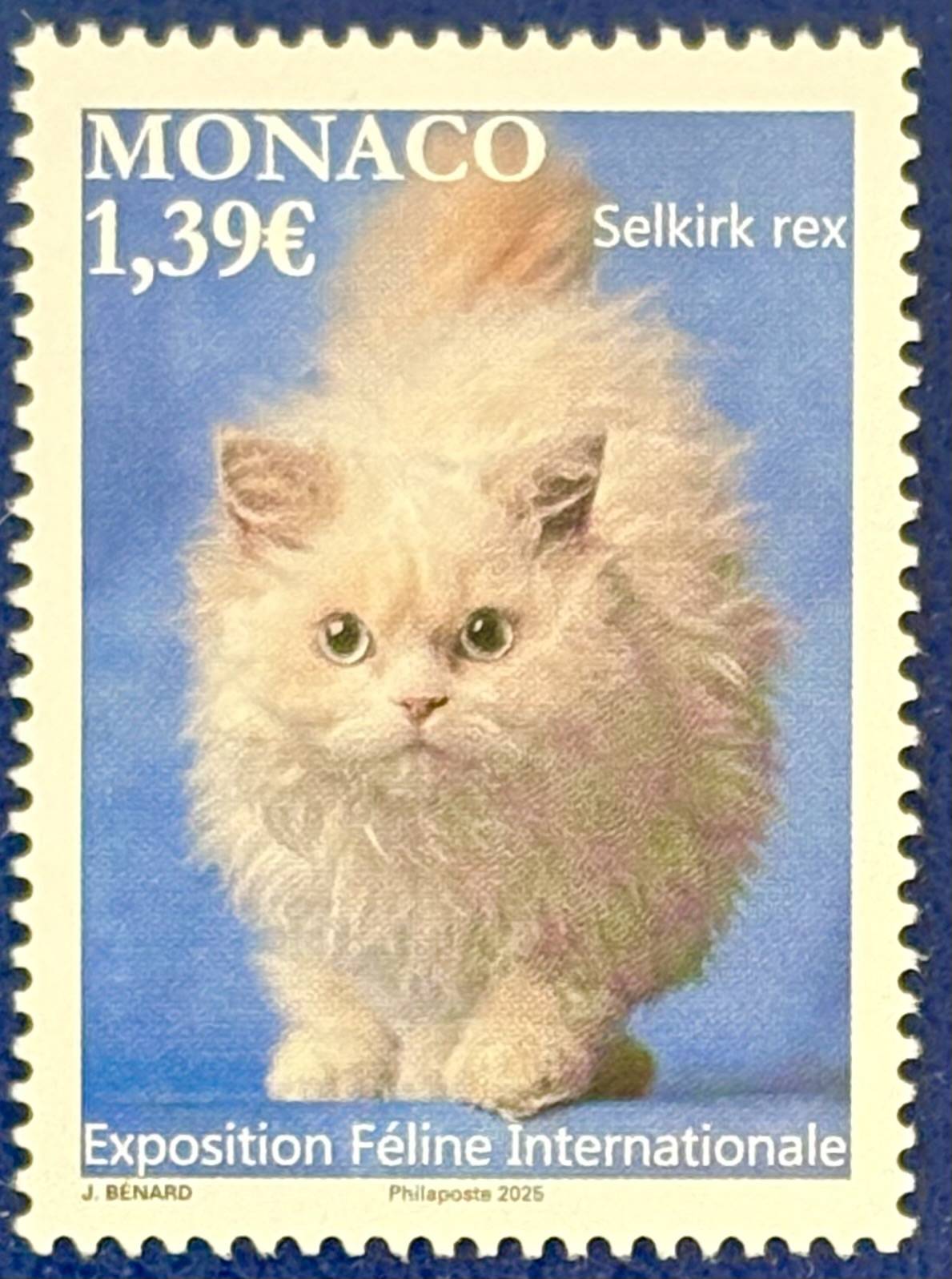 Internationale Katzenausstellung Monaco