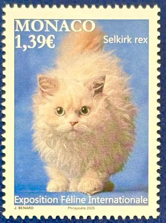 Internationale Katzenausstellung Monaco