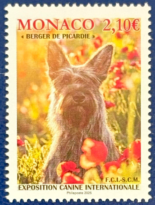 Internationale Hundeausstellung in Monaco