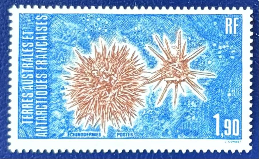 Französische Gebiete in der Antarktis - Einzelwert Meereslebewesen