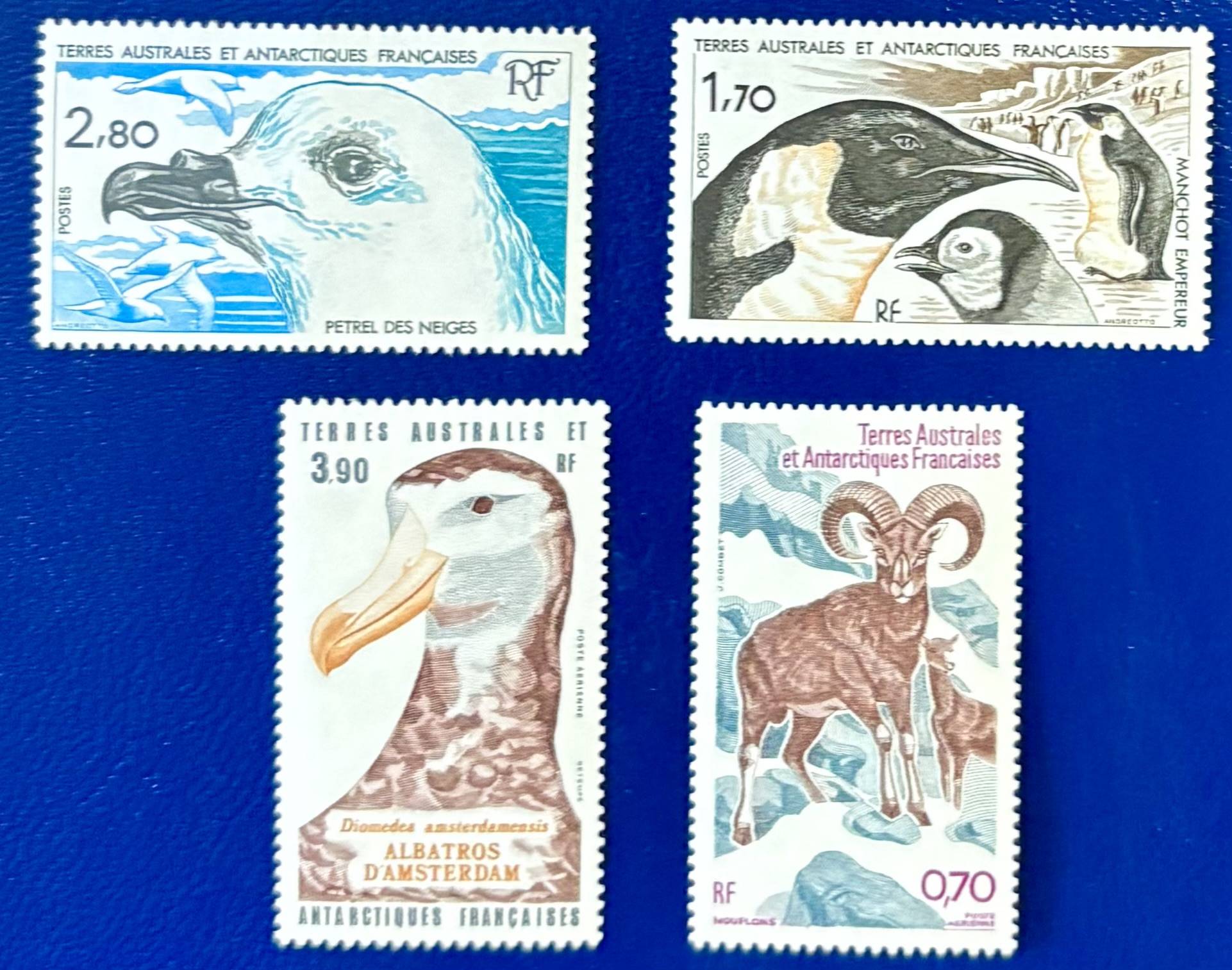 Französische Gebiete in der Antarktis - 4 Werte postfrisch "Tiere der Antarktis"