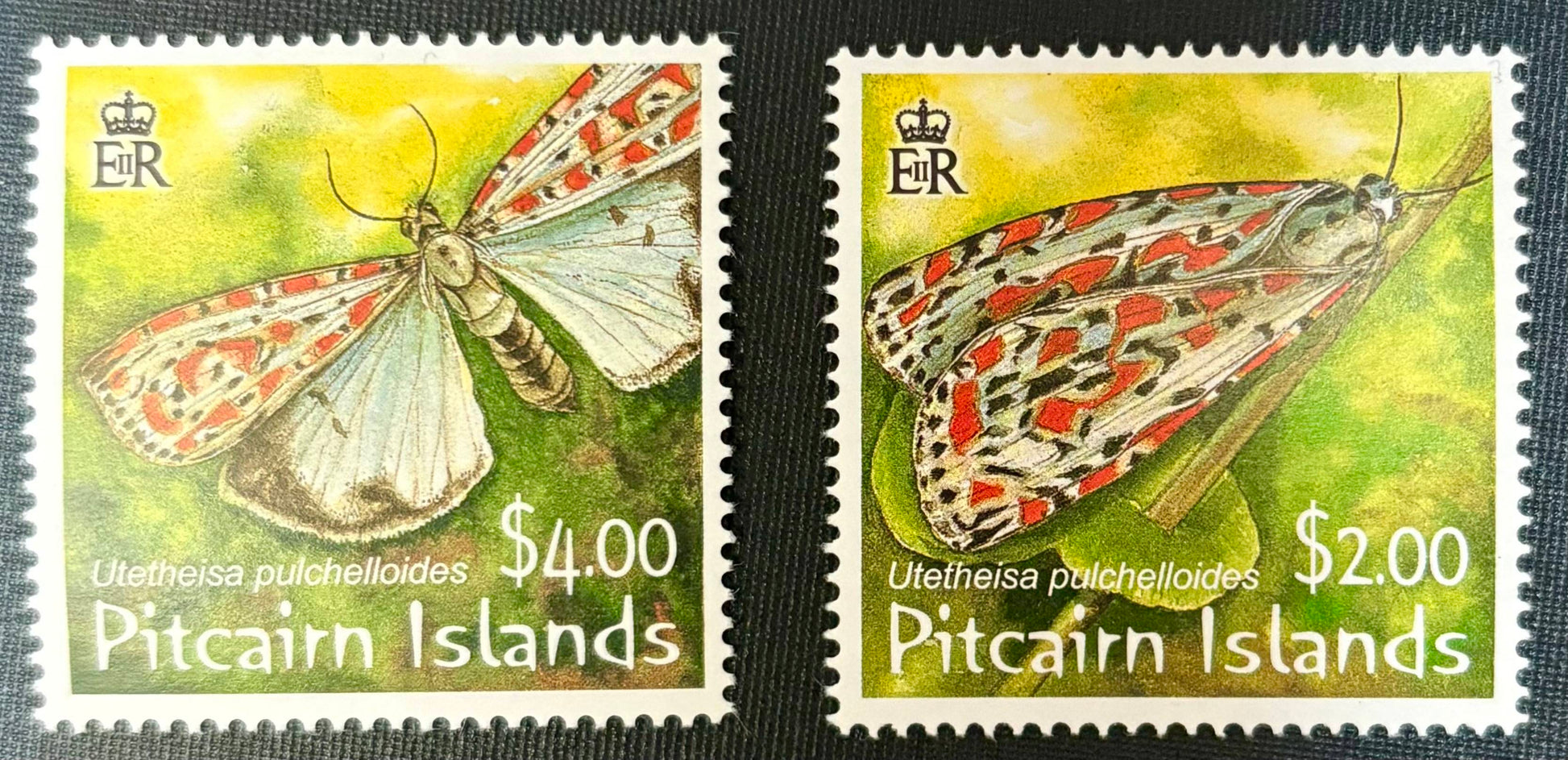 Pitcairn - 2 Werte psotfrisch "Schmetterlinge"