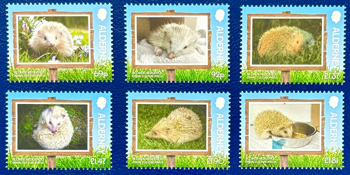 Niedliche Igel - Kinder