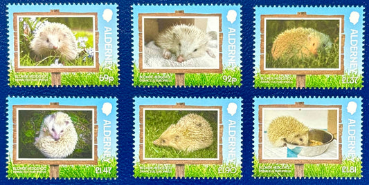 Niedliche Igel - Kinder