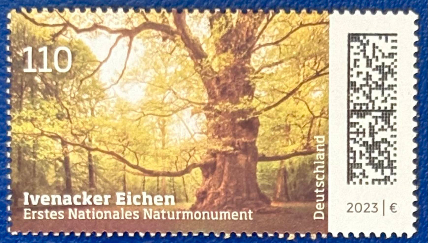 Die älteste Eiche Deutschlands
