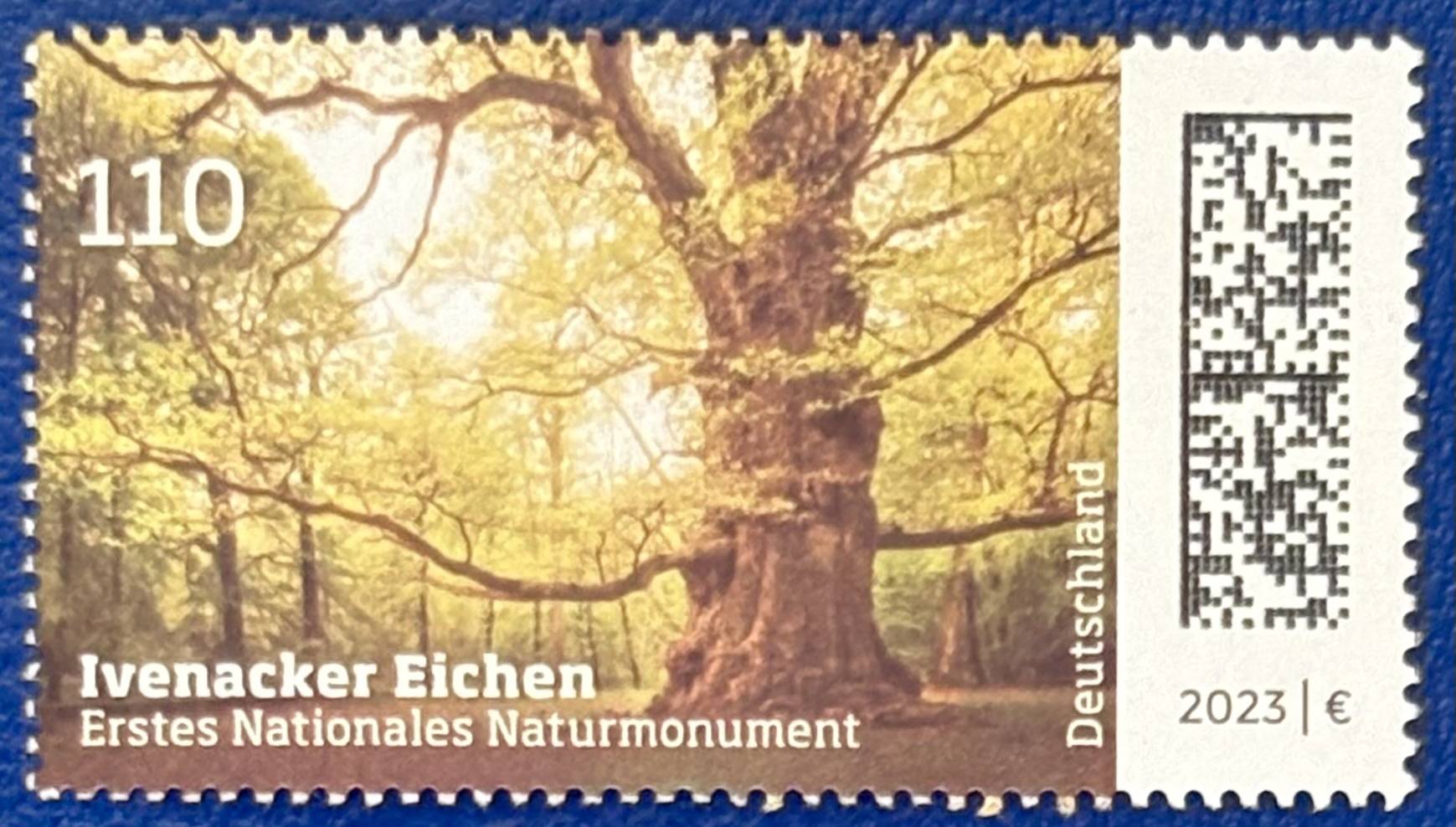 Die älteste Eiche Deutschlands