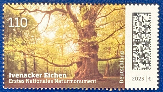 Die älteste Eiche Deutschlands