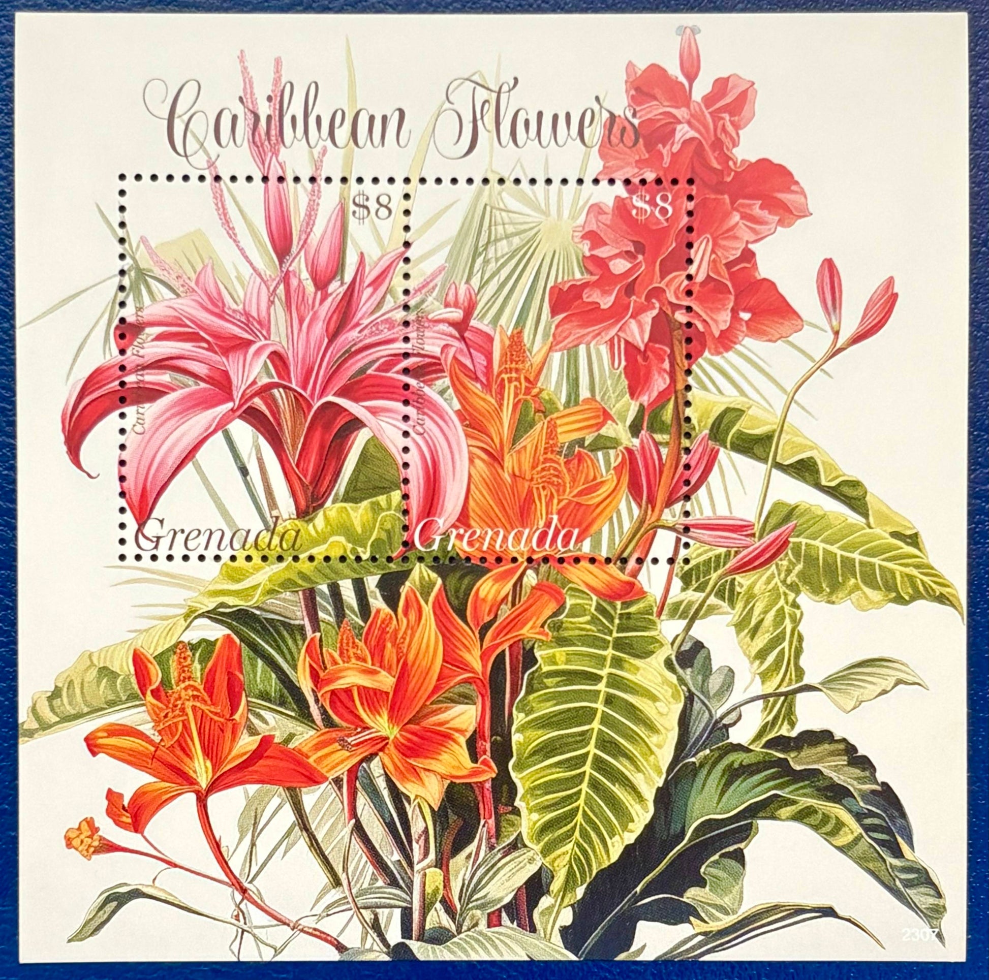 Die Blumenwelt der Karibik