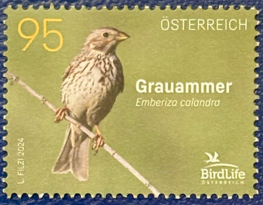 Der Grauammer - Vogel des Jahres 2024
