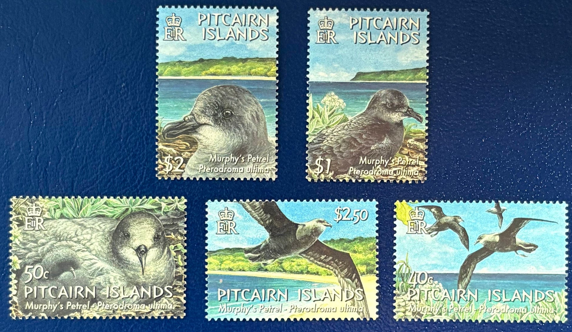 Pitcairn - 5 Werte postfrisch "Murphy-Sturmvogel"