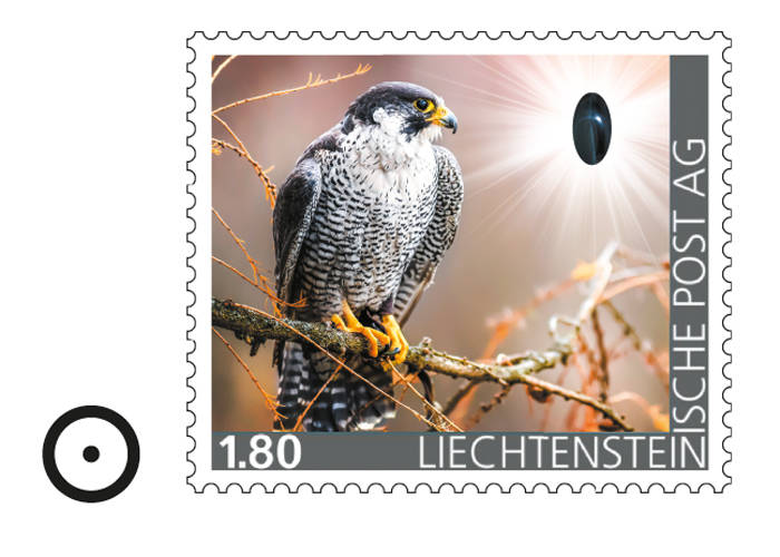 Liechtenstein -Edelsteine der Philatelie: FALKENAUGE-Briefmarke gestempelt