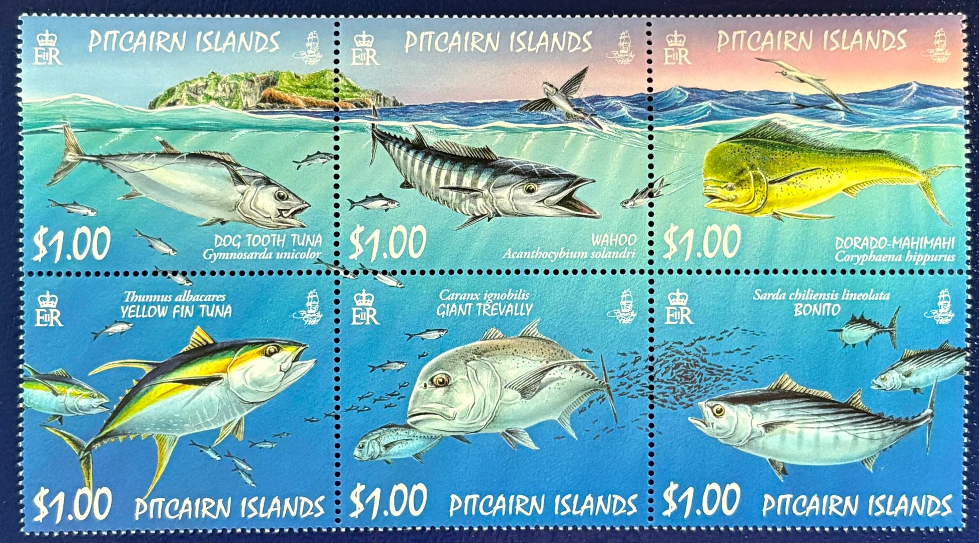 Pitcairn - 6 Werte postfrisch "Raubtiere des Meeres"