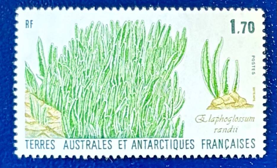 Französische Gebiete in der Antarktis - Einzelwert Pflanzen der Antarktis