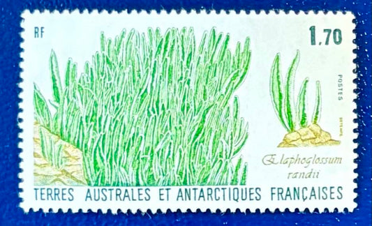 Französische Gebiete in der Antarktis - Einzelwert Pflanzen der Antarktis