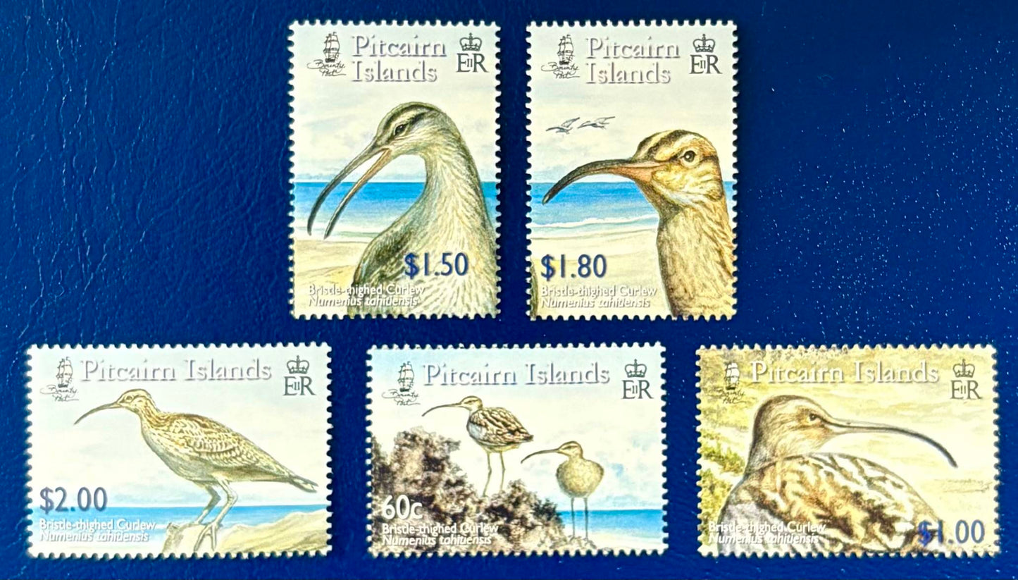 Pitcairn - 5 Werte postfrisch "Borstenbrachvögel auf der Henderson-Insel"