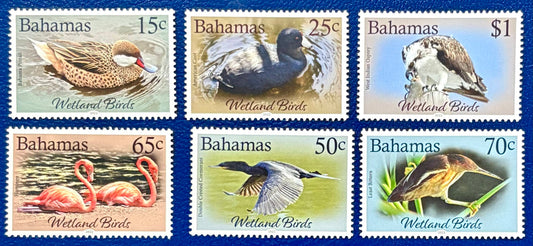 Wasservögel der Bahamas