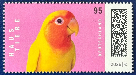 Das Rosenköpfchen der "Liebesvogel"