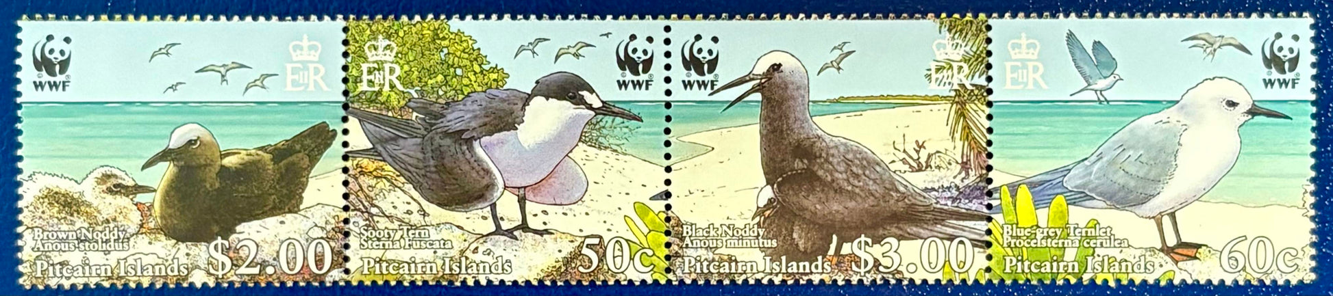 Pitcarin - 4 Werte postfrisch "WWF: Seevögel"