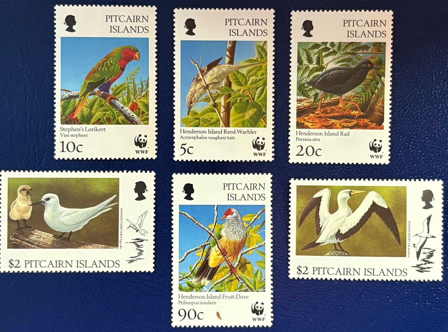 Pitcairn - 6 Werte postfrisch "Weltweiter Naturschutz:Vögel"