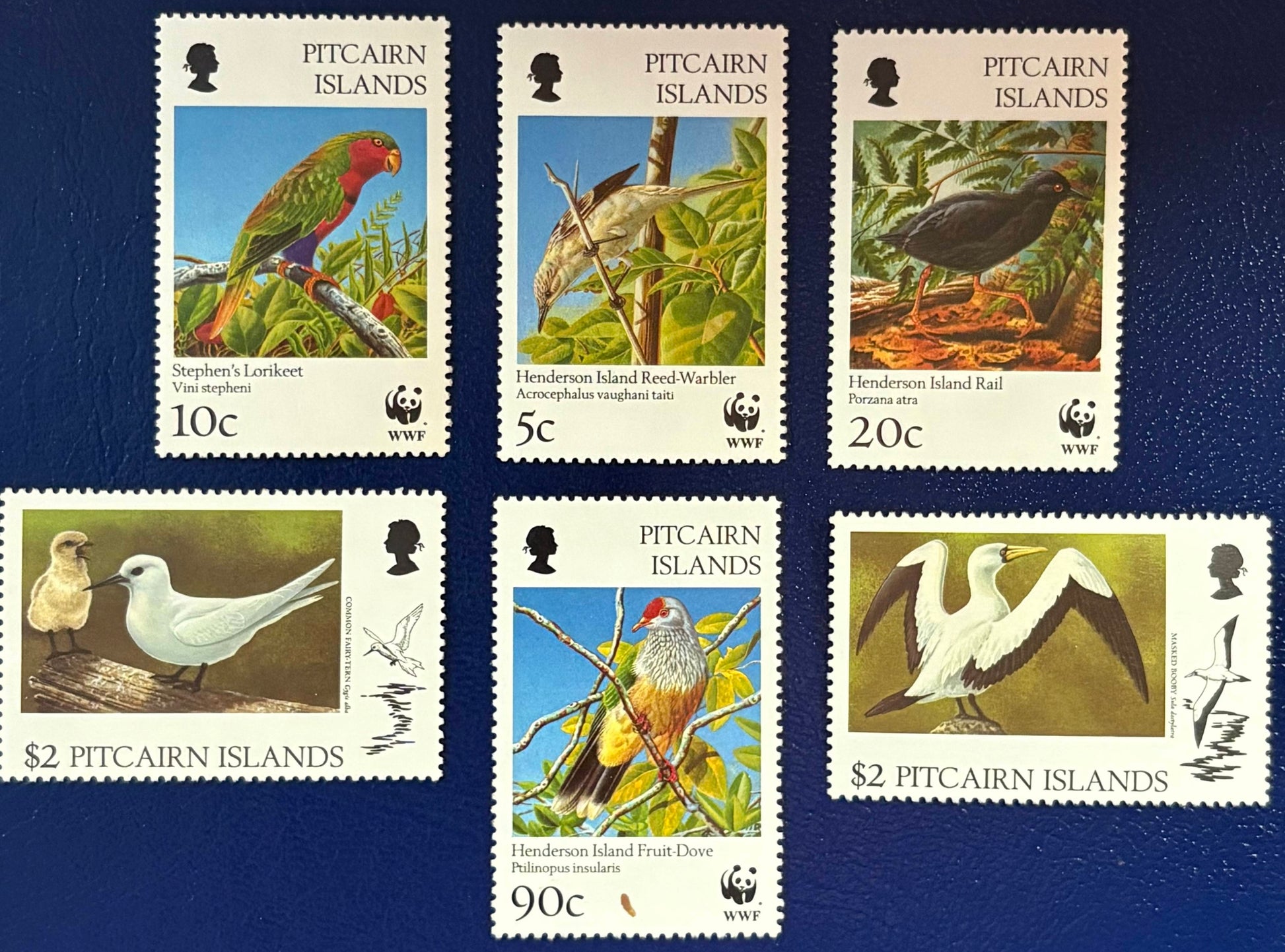 Pitcairn - 6 Werte postfrisch "Weltweiter Naturschutz:Vögel"