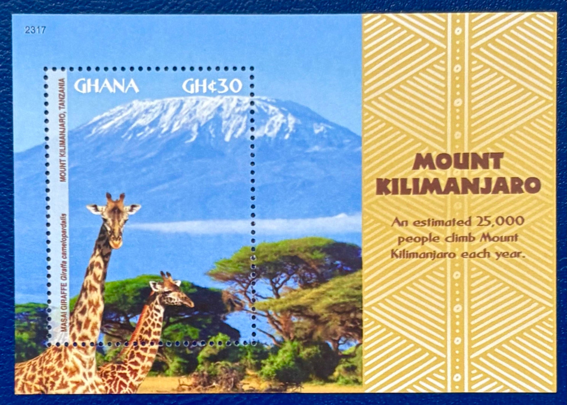 Die Giraffen und der Kilimanjaro