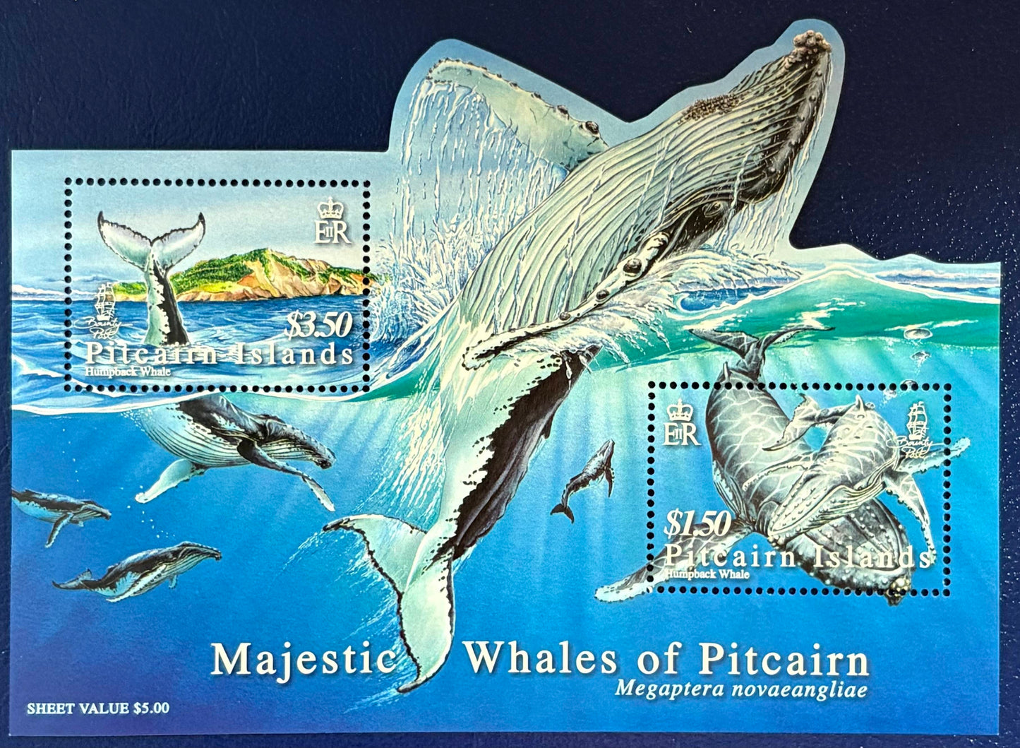 Pitcairn - Block 45 postfrisch "Wale" Tolle Blockform!!
