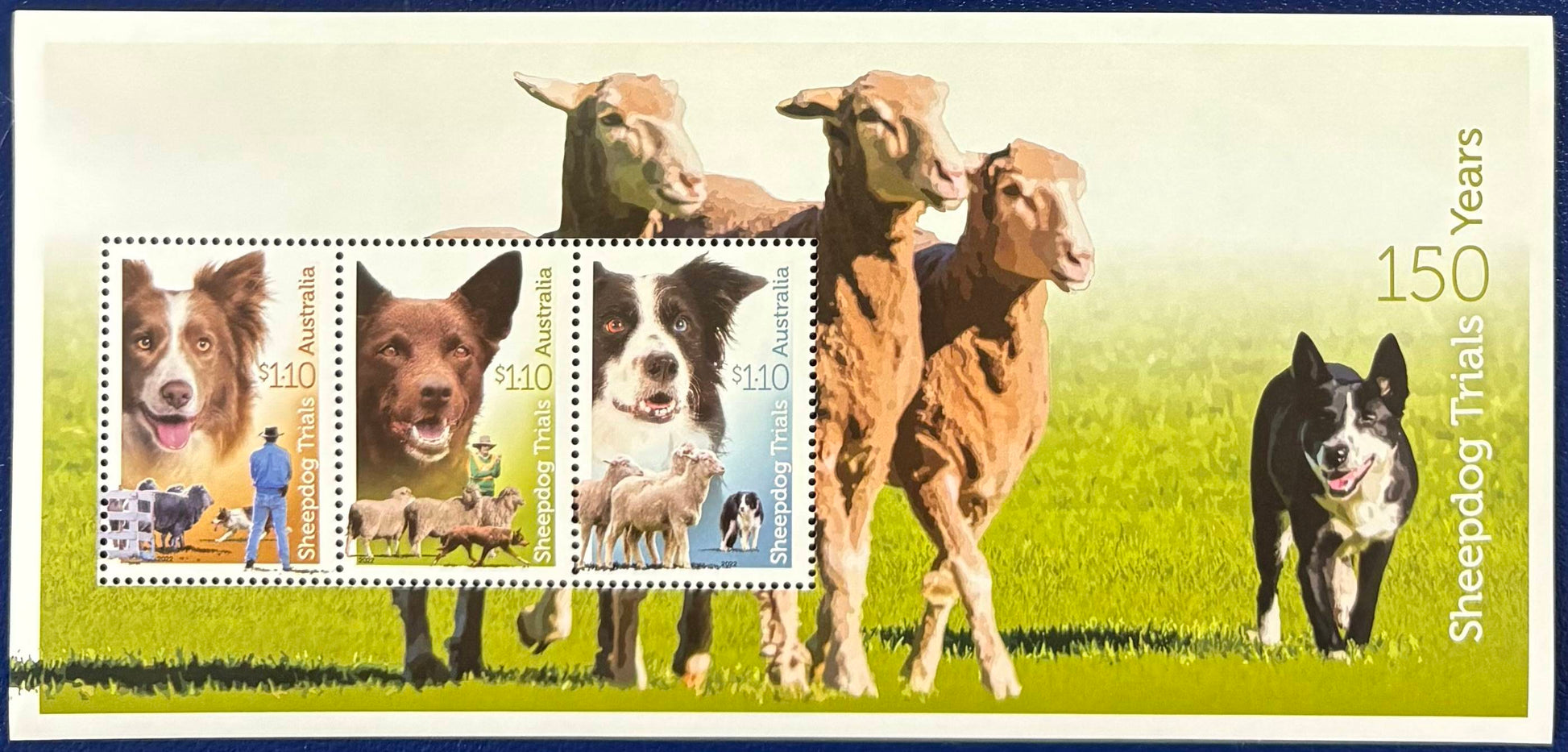 Australien - Jubiläumsausgabe Sheepdog Trials