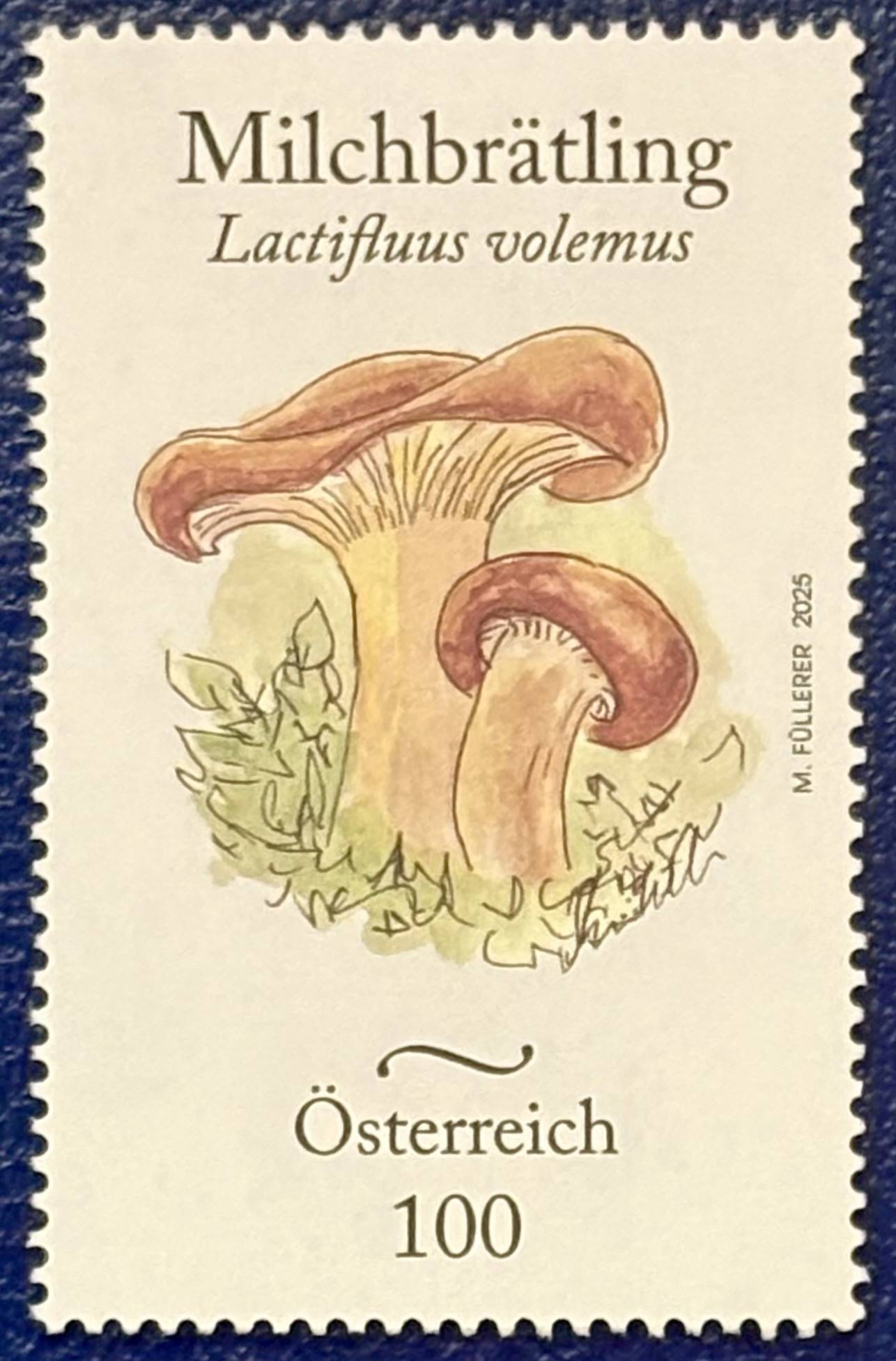 Der Milchbrätling