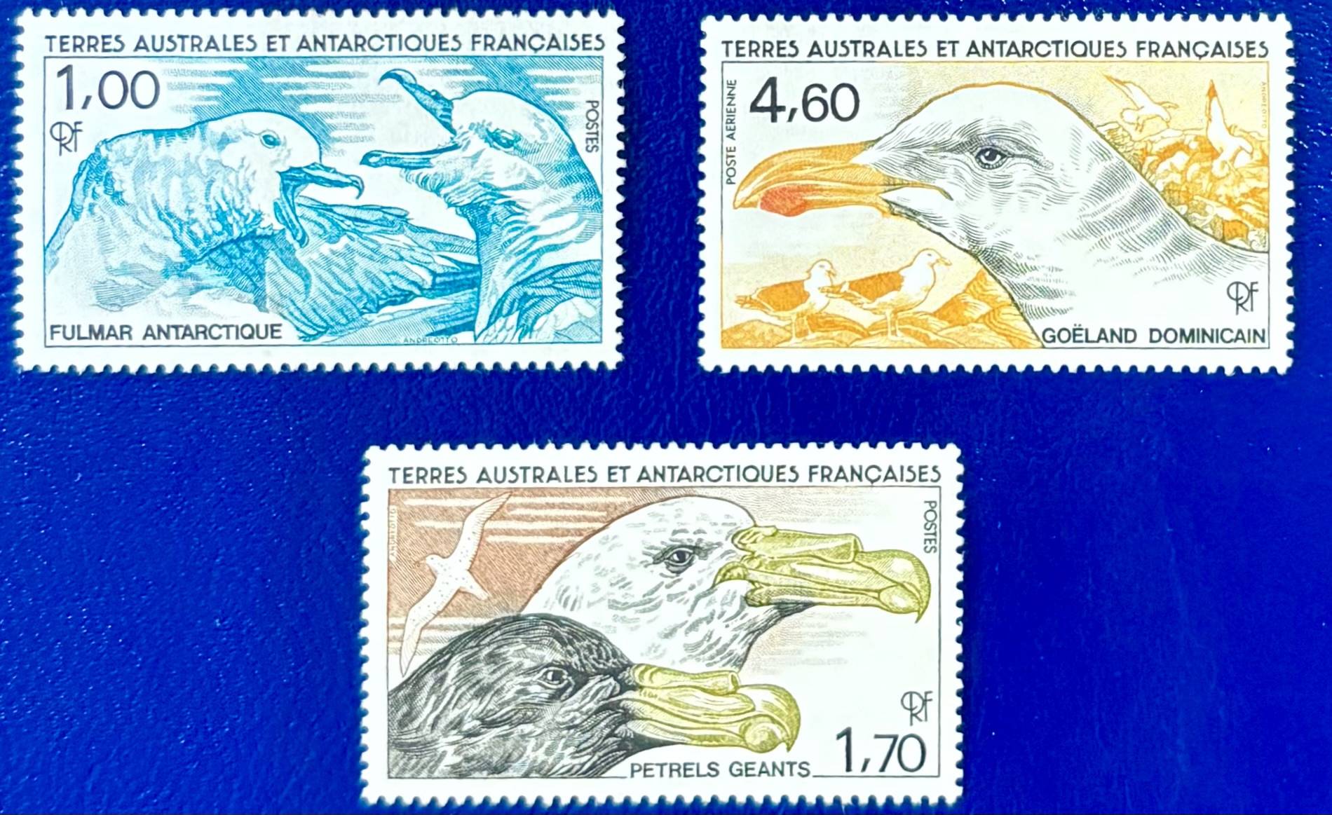 Französische Gebiete in der Antarktis - 3 Werte Vögel, postfrisch